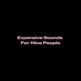 Expensive Sounds For Nice People - Hoodie (APPROX. $60 USD)